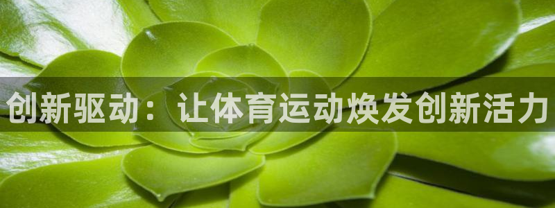 vsport体育在线官网：创新驱动：让体育运动焕发创新活力