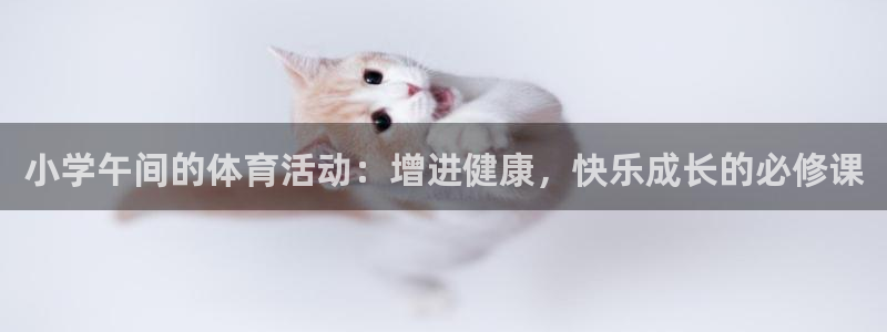 vsport体育：小学午间的体育活动：增进健康，快乐成长的必修课