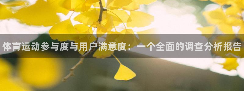 vsport体育：体育运动参与度与用户满意度：一个全面的调查分析报告