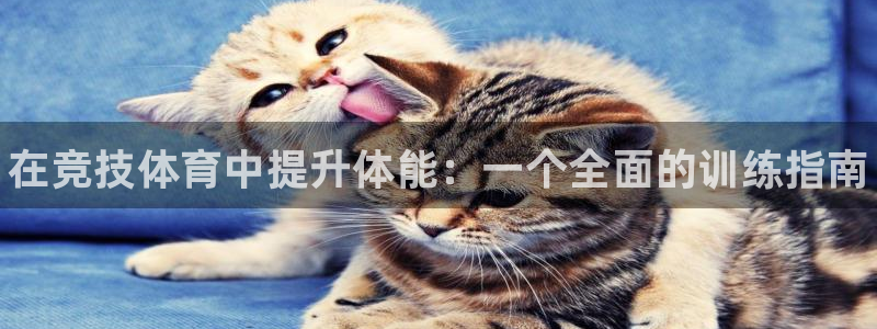 vsport体育在线官网