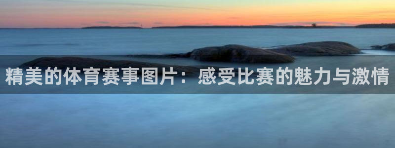 vsport体育在线官网：精美的体育赛事图片：感受比赛的魅力与激情