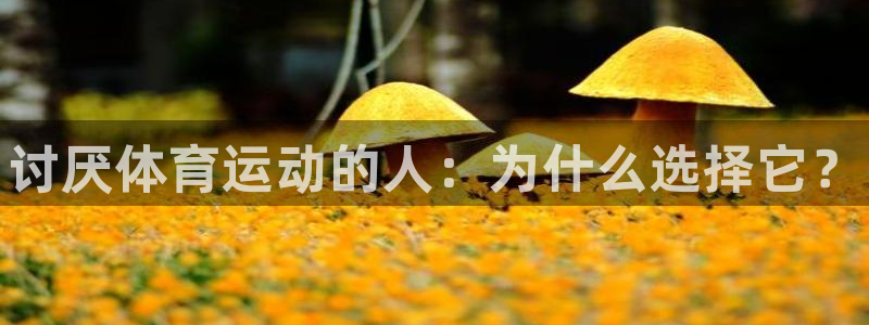 vsport体育在线官网：讨厌体育运动的人：为什么选择它？