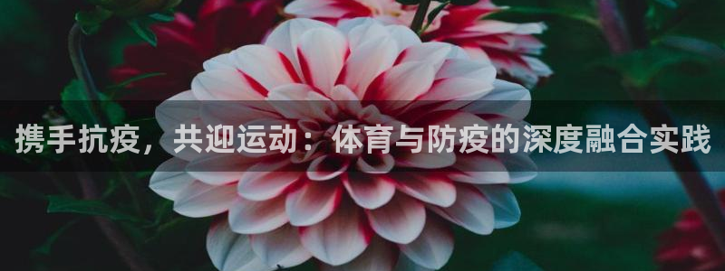 vsport体育：携手抗疫，共迎运动：体育与防疫的深度融合实践