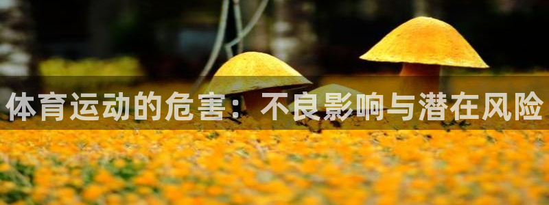 vsport体育：体育运动的危害：不良影响与潜在风险