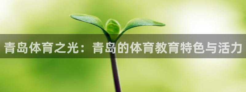 vsport体育在线官网：青岛体育之光：青岛的体育教育特色与活力