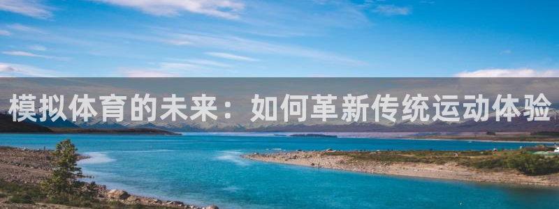 vsport体育在线官网：模拟体育的未来：如何革新传统运动体验