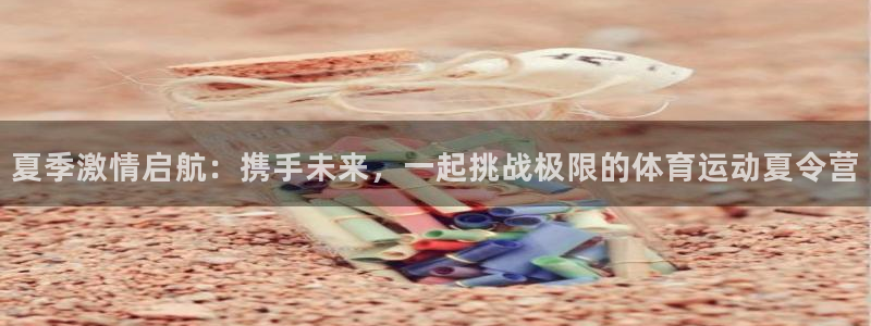 vsport体育在线官网：夏季激情启航：携手未来，一起挑战极限的体育运动夏令营