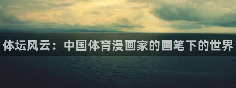 vsport体育在线官网