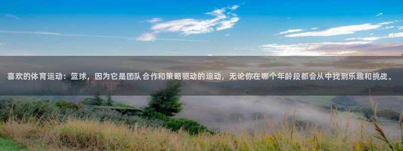 vsport体育在线官网：喜欢的体育运动：篮球，因为它是团队合作和策略驱动的运动，无论你在哪个年龄段都会从中找到乐趣和挑战。