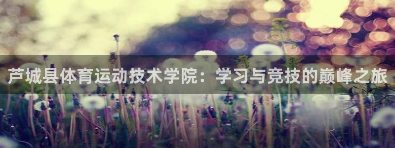 vsport体育：芦城县体育运动技术学院：学习与竞技的巅峰之旅