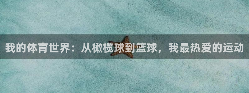 vsport体育在线官网：我的体育世界：从橄榄球到篮球，我最热爱的运动