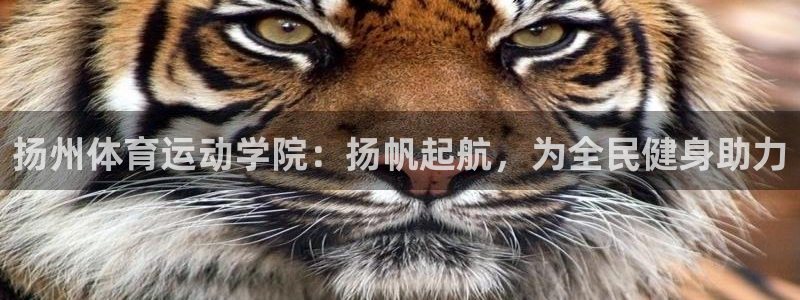 vsport体育在线官网：扬州体育运动学院：扬帆起航，为全民健身助力