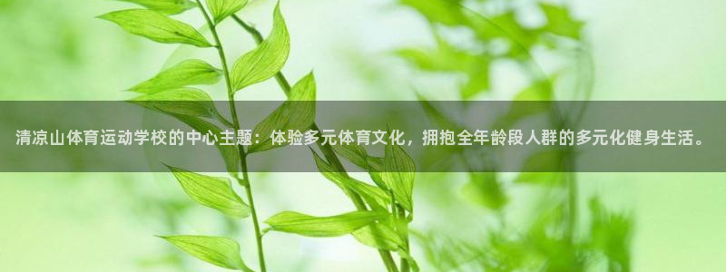 vsport体育在线官网：清凉山体育运动学校的中心主题：体验多元体育文化，拥抱全年龄段人群的多元化健身生活。