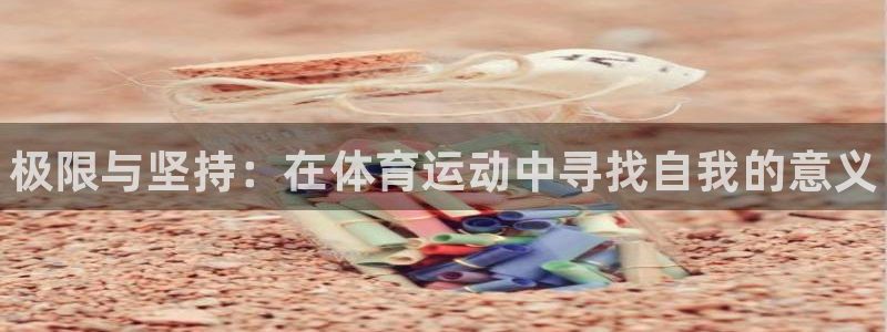 vsport体育在线官网