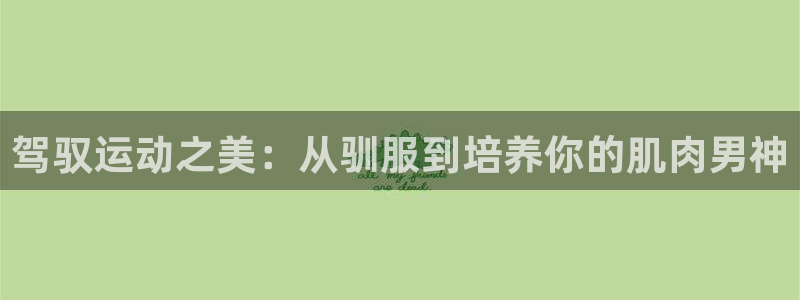 vsport体育在线官网：驾驭运动之美：从驯服到培养你的肌肉男神