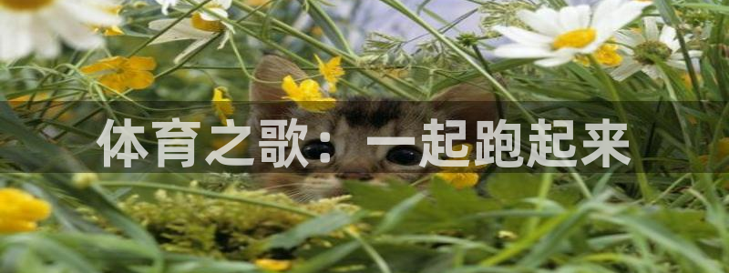 vsport体育在线官网：体育之歌：一起跑起来