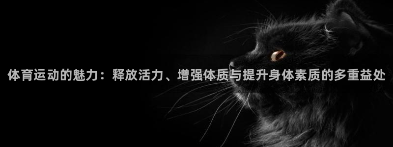 vsport体育：体育运动的魅力：释放活力、增强体质与提升身体素质的多重益处