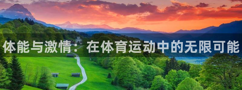 vsport体育在线官网：体能与激情：在体育运动中的无限可能