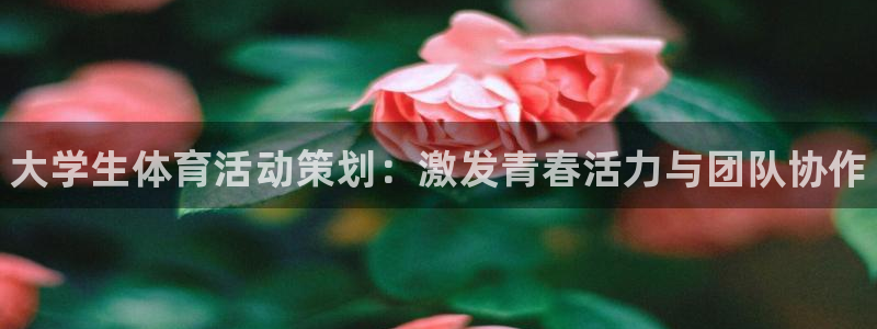 vsport体育：大学生体育活动策划：激发青春活力与团队协作