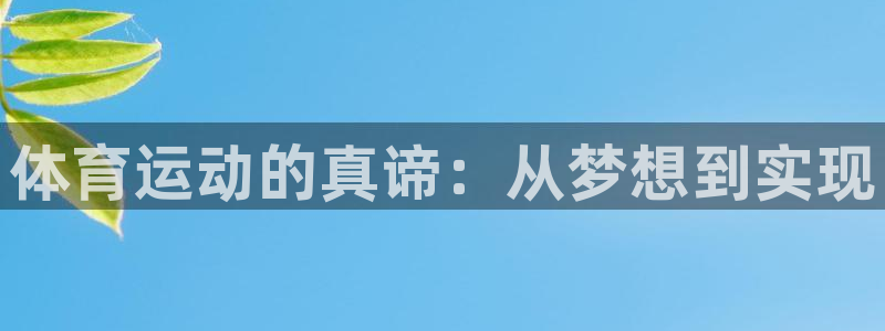 vsport体育在线官网：体育运动的真谛：从梦想到实现