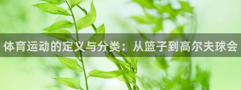 vsport体育：体育运动的定义与分类：从篮子到高尔夫球会