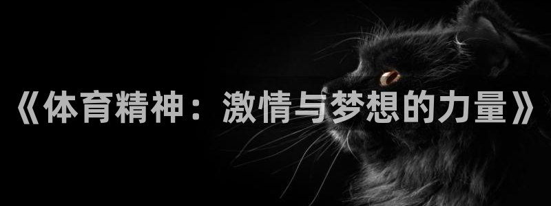 vsport体育在线官网：《体育精神：激情与梦想的力量》