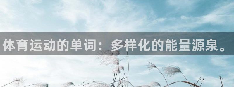 vsport体育：体育运动的单词：多样化的能量源泉。