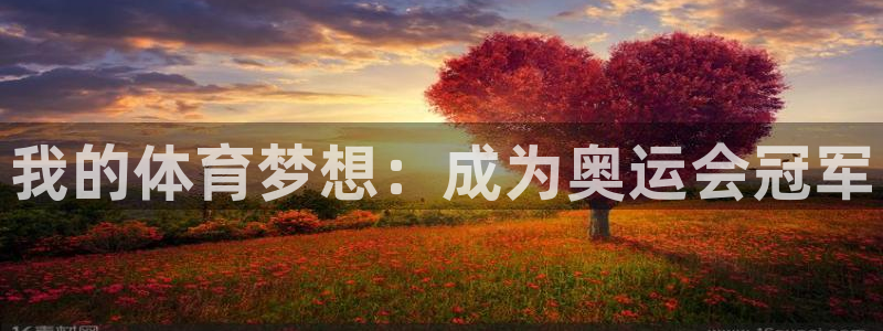 vsport体育在线官网：我的体育梦想：成为奥运会冠军