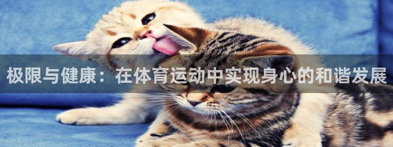 vsport体育：极限与健康：在体育运动中实现身心的和谐发展