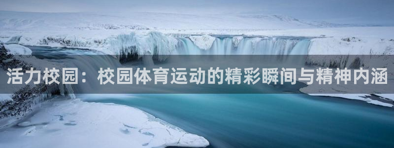 vsport体育：活力校园：校园体育运动的精彩瞬间与精神内涵